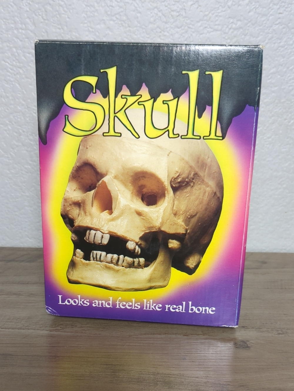 Vtg 1995 Paper Magic Group Life-Size Realistic Skull Prop with Box